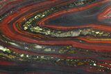 Polished Tiger Iron Stromatolite - ( Billion Years) #92821-1